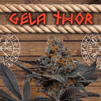 GelaThor
