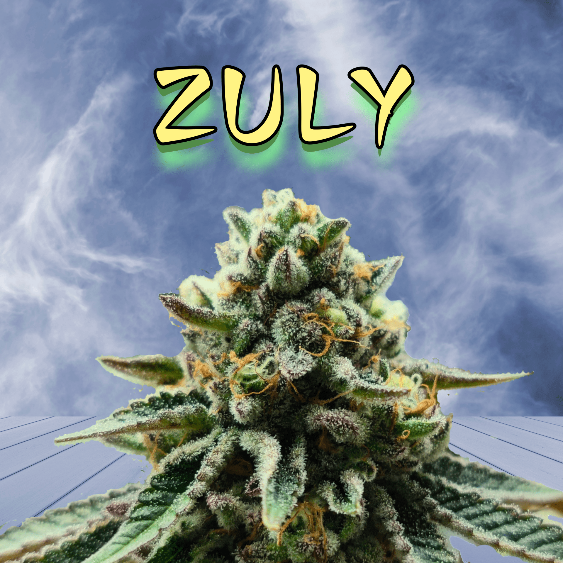 Zuly