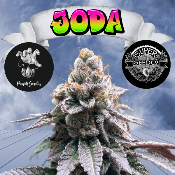 Joda