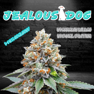 Jealous Dog