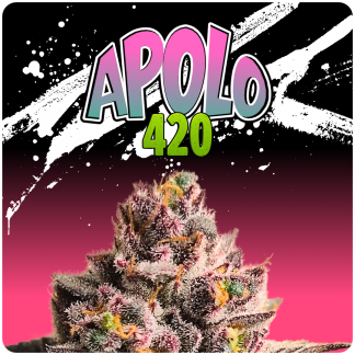 Apolo 420