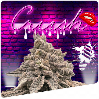Crush