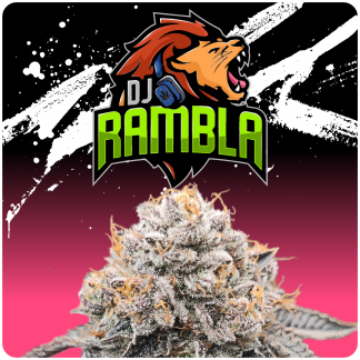 DJ Rambla