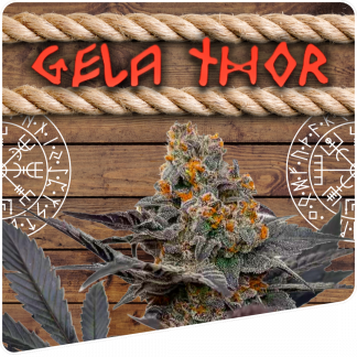 GelaThor