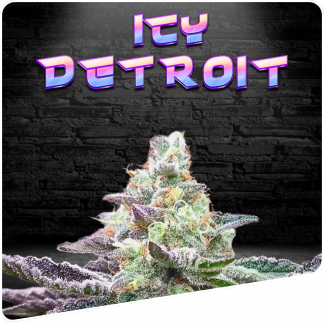 Icy Detroit