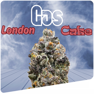London Gas Cake
