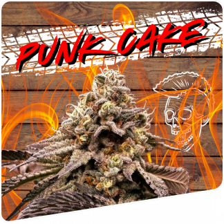 Punk Cake