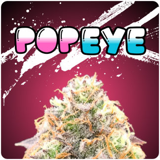 Popeye