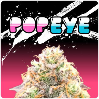 Popeye